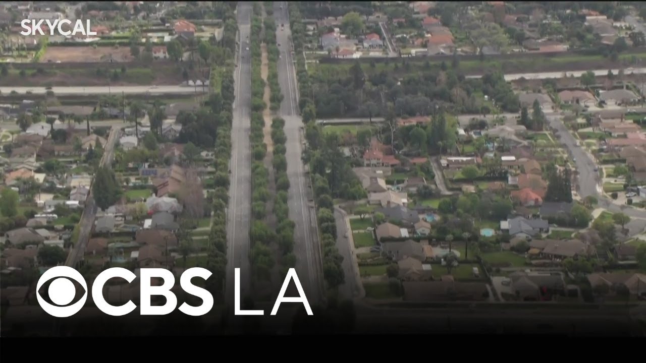 Euclid Avenue | Look At This!