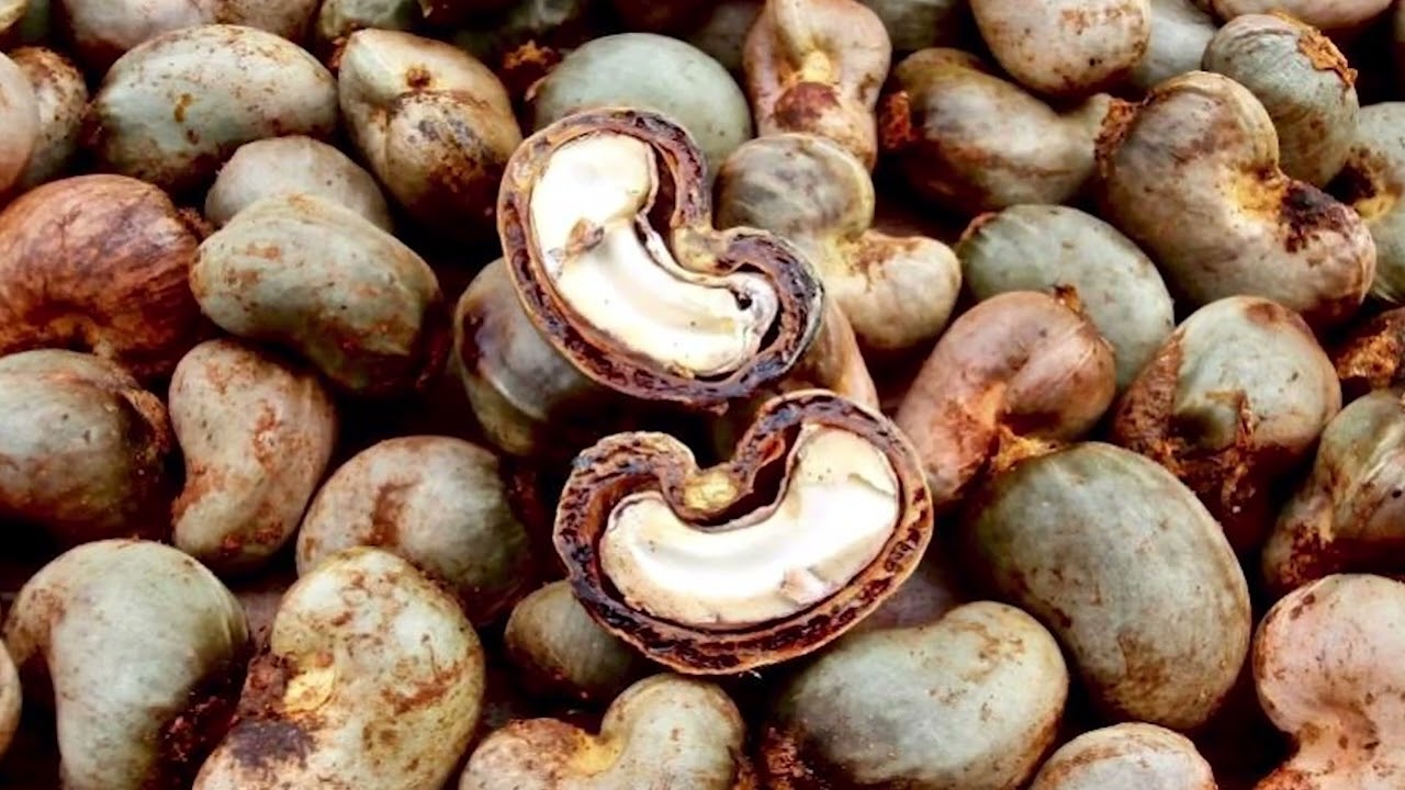 PERFORMANCES PORTUAIRES 2023 DU PASP