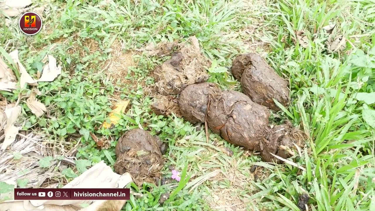 പാലപ്പുഴയില്‍ കാട്ടാന ആക്രമണത്തില്‍ വ്യാപക കൃഷി നാശം.