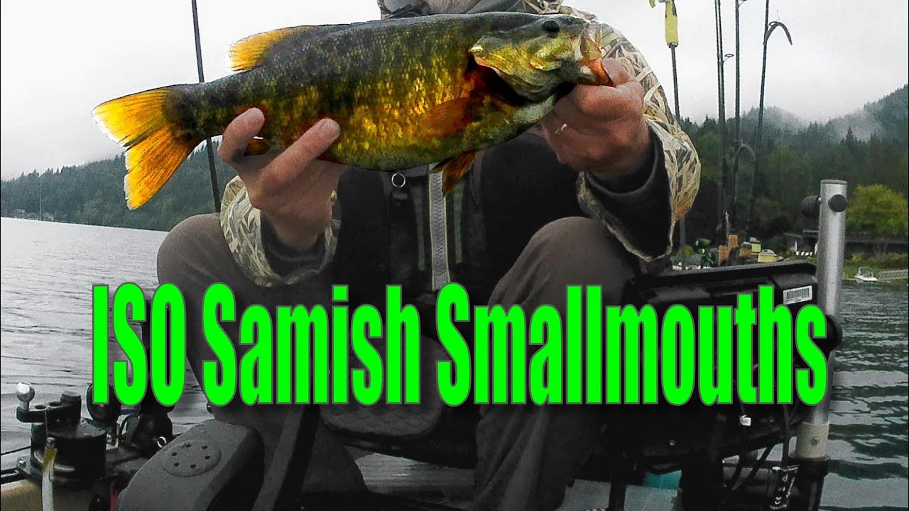 In Search of August Samish Smallmouths