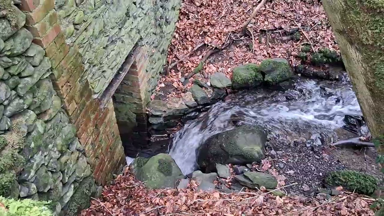 River runs 🏃‍♂️ through house 🏠 