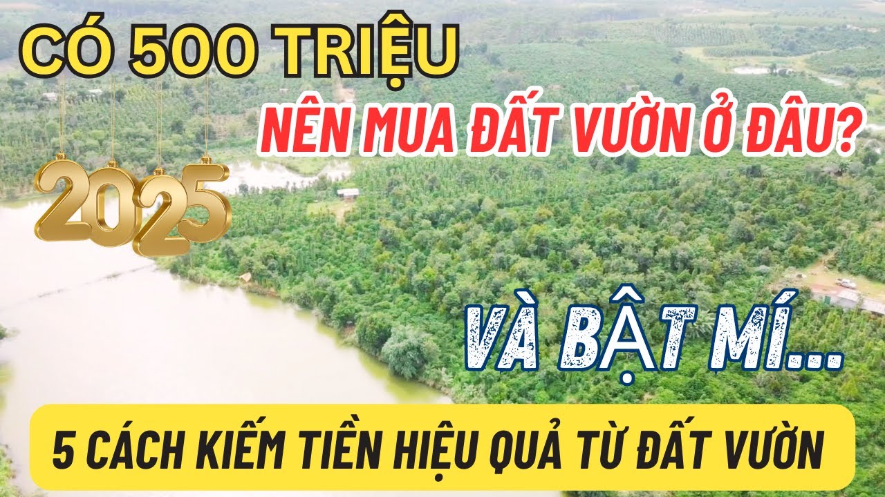 Mua đất vườn 500 triệu ở đâu? Chọn Gia Lai, Đăk Lăk, Đăk Nông hay Lâm Đồng?