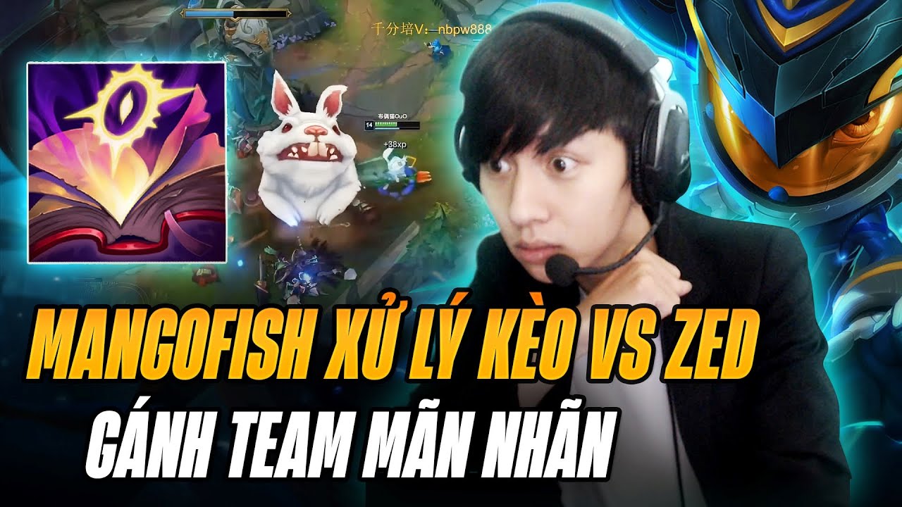 MANGO FISH XỬ LÝ KÈO ĐẤU VS ZED CỰC GẮT VÀ MÀN FARM MẠNG GÁNH TEAM VỚI NHỮNG PHA ONESHOT MÃN NHÃN