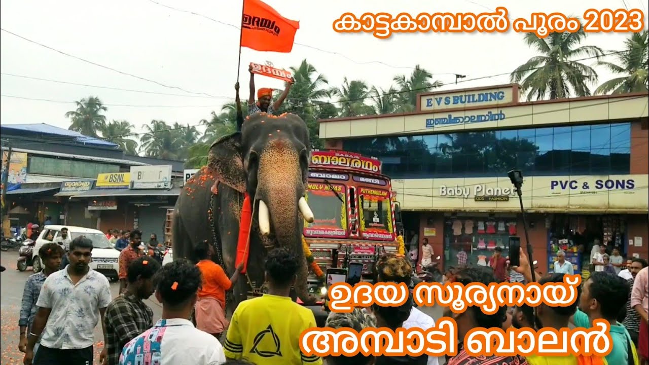 ഉദയ സൂര്യനായ് അമ്പാടി ബാലൻ || കാട്ടകാമ്പാൽ പൂരം 2023 || അമ്പാടി ബാലൻ || Kattakampal Pooram 2023