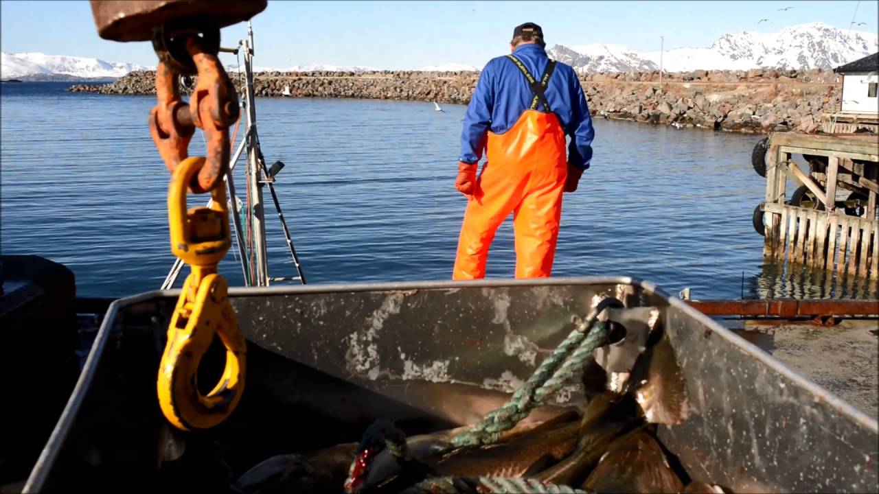 Vår stemning ved havna i Årviksand