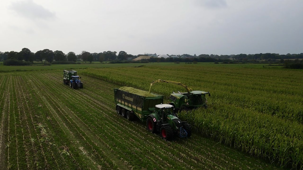 Maisernte 2023  | LU Wolken Wittmund