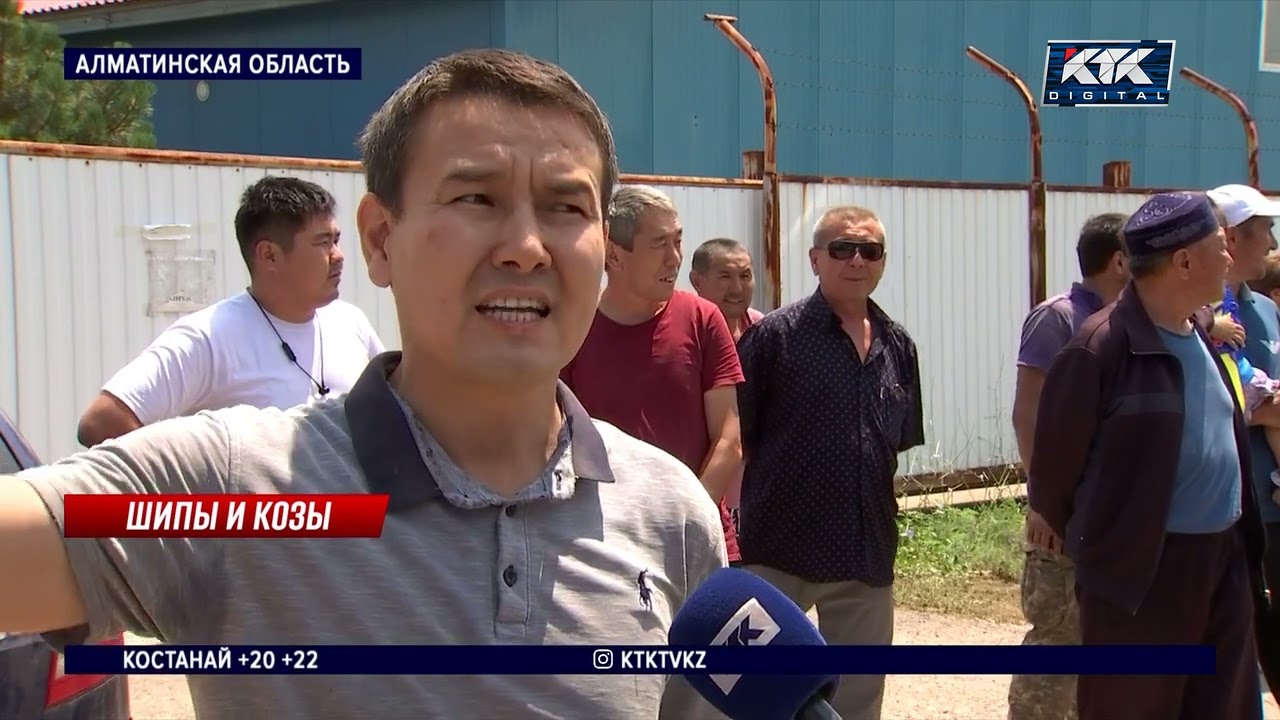 «Мусор и вонь»: жизнь в Кемертогане отравляет козья ферма
