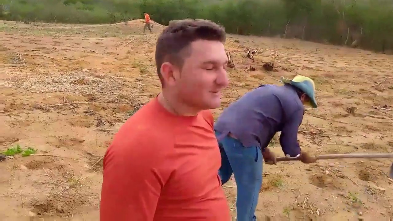COMO PLANTAR MILHO E FAVA