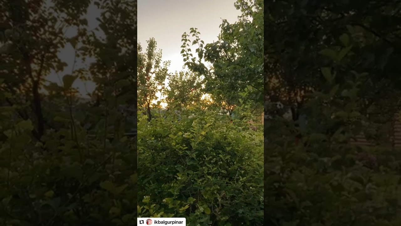 İkbalGürpınar 'la Seher Sohbeti 14