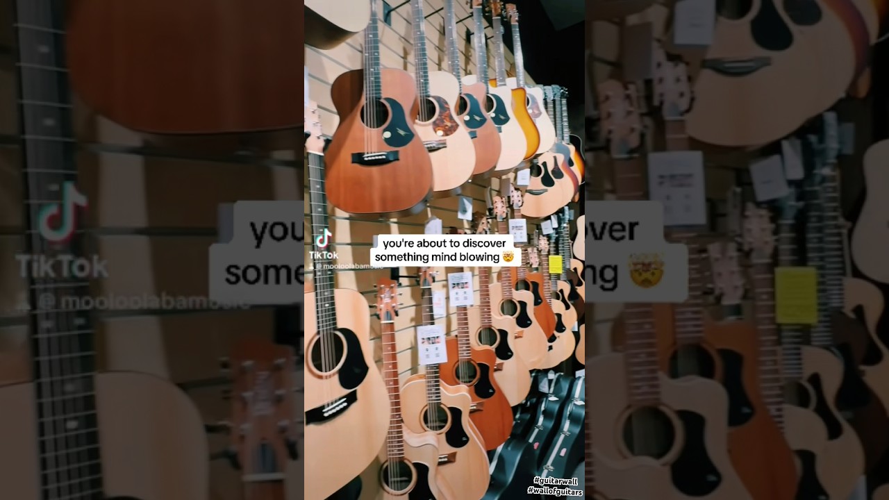Australia&rsquo;s BIGGEST wall of guitars #guitarwall #guitarstore #lifeadvice #guitar
