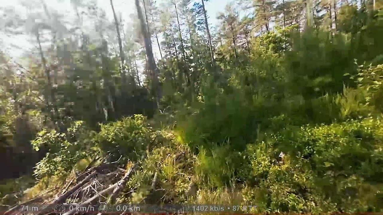 Skandinavien Tag 11 | Secret Spots from Daniel in Småland