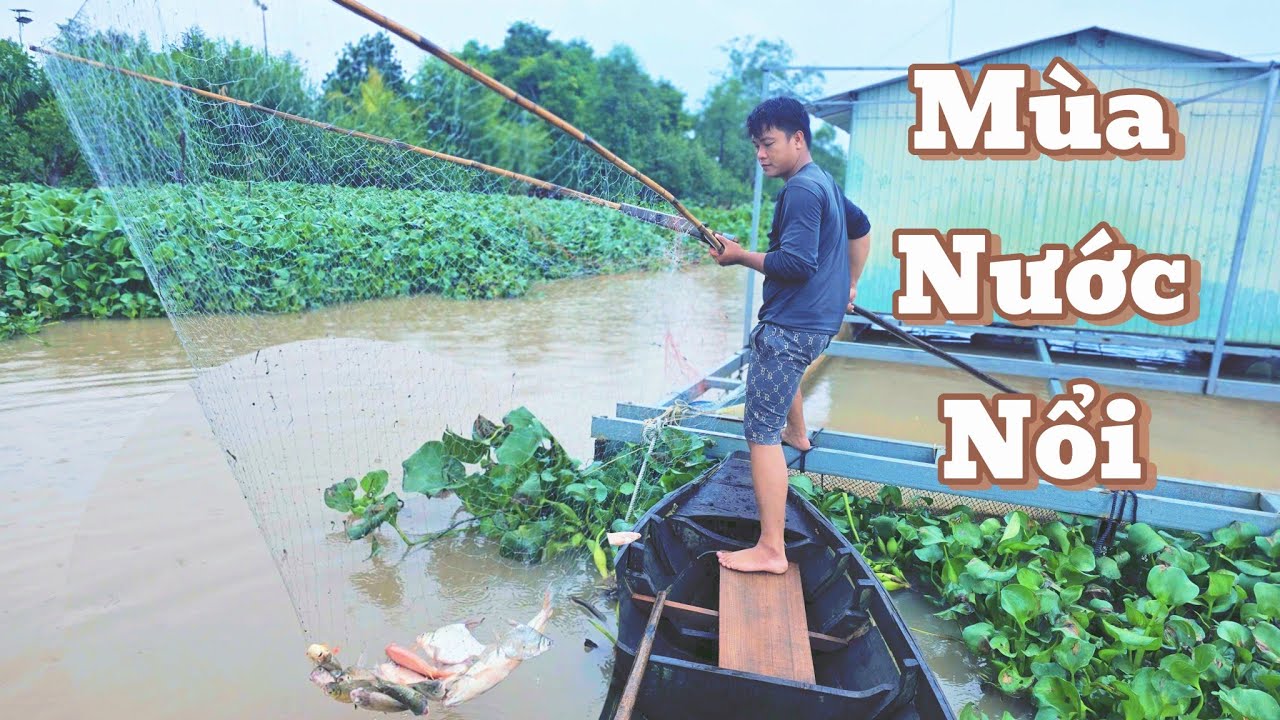 Vớt 1 Vợt Đủ Ăn 1 Ngày " Mùa Nước Nổi " Rất Dễ Kiếm Cá Theo Kiểu Này |Cơm Quê Nhà 169# 