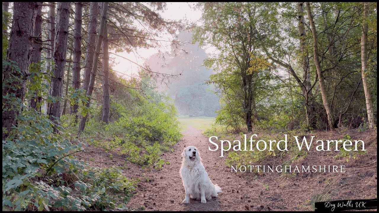 Spalford Warren｜Nottinghamshire, England｜Stan's 4th Birthday - 9 Sep 2023｜4K