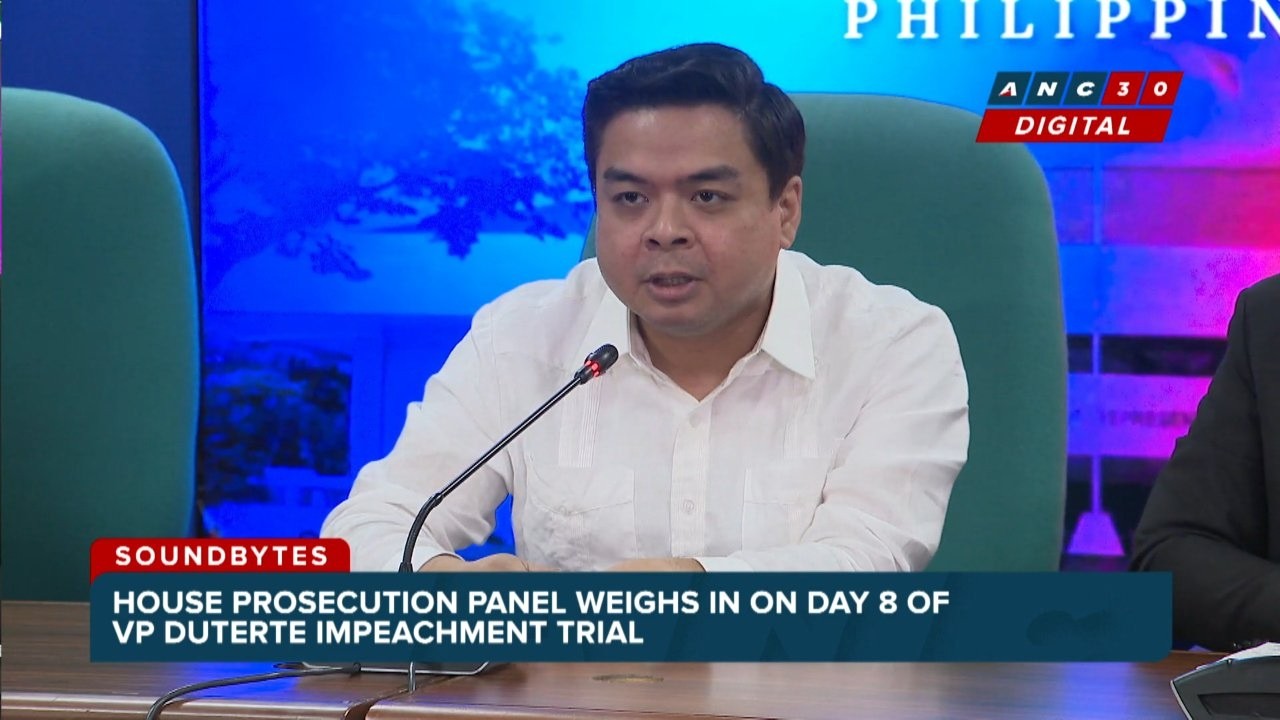 'Irrelevant': Ridon hits defense for raising Matibag's congresswoman-wife during cross-examination