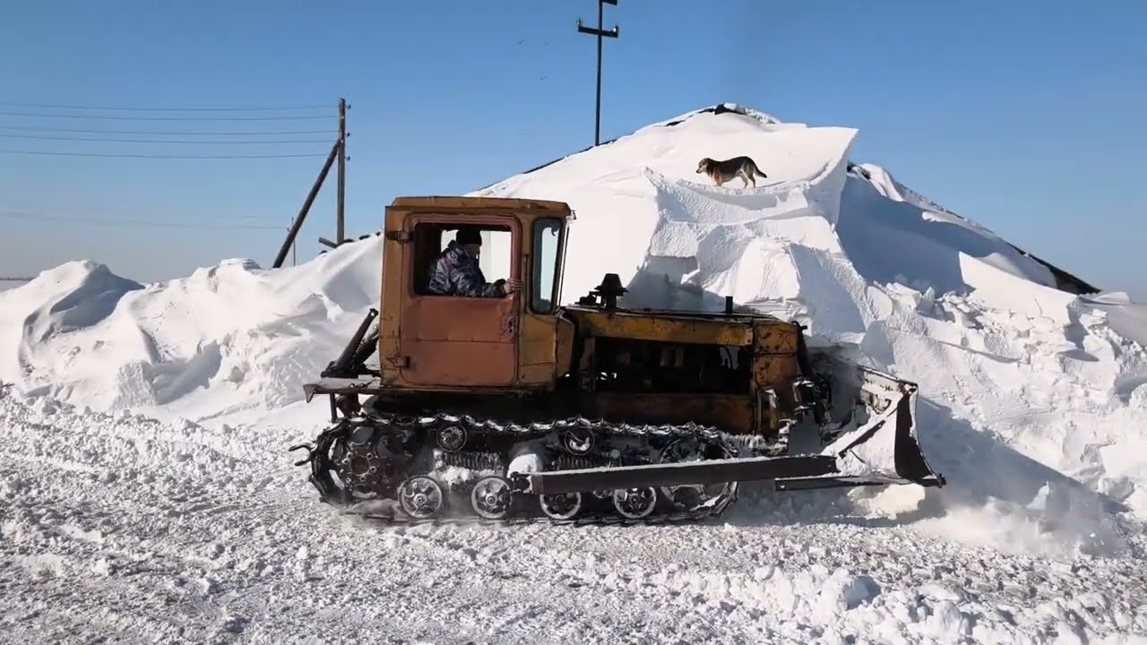 Почтальон Дт-75 крошит сугроб.