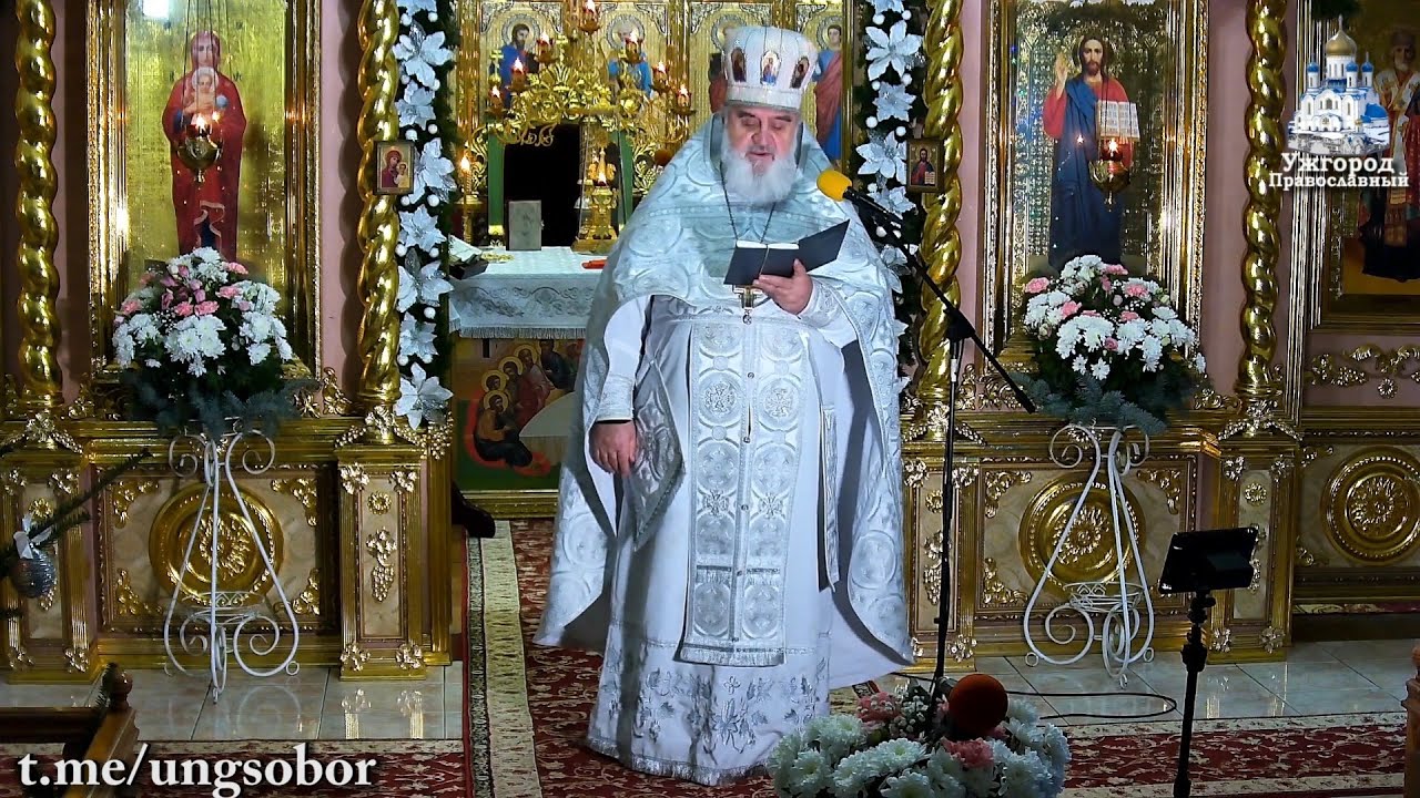 Заклик подвизатися за віру свою, терпя гоненія.11.01.2025, прот. Димитрій Сидор