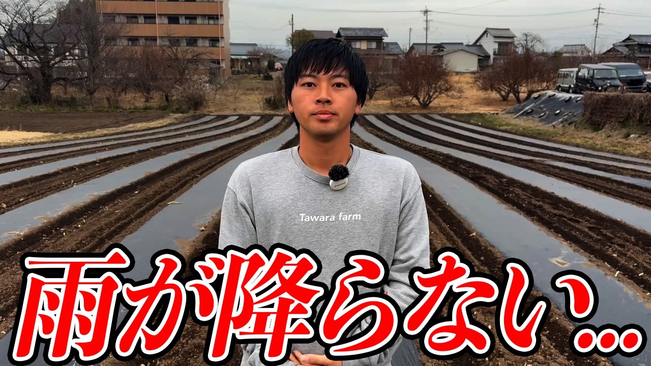 野菜が高くなる　自然との戦いが、、、