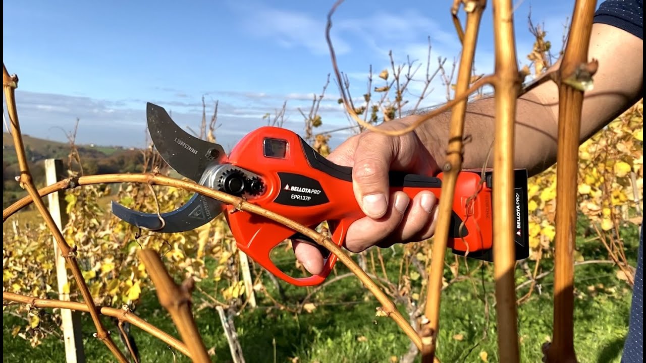 BATERIJSKE &Scaron;KARJE BELLOTA I Mihaela d.o.o.