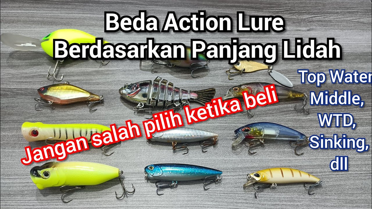 Fungsi Lidah Pada Lure Minnow