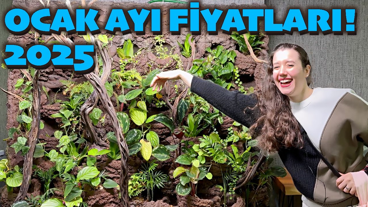 Bursa Akvaryumcular l 2025 Balık Fiyatları