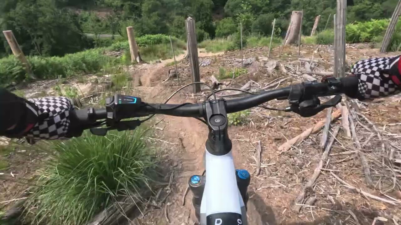 Fitnessrunde durch die Hometrails v. 22.06.25