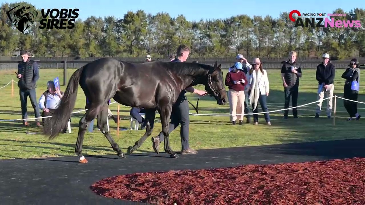 2025 Victorian Stallion Parades - Aaron Morrison, Racing Victoria CEO