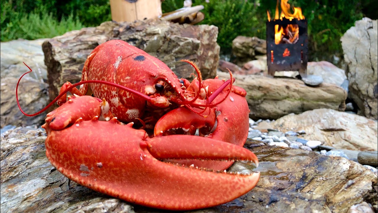 Coastal Foraging and Spearfishing with Haze Outdoors - Underwater footage and beach cookup.