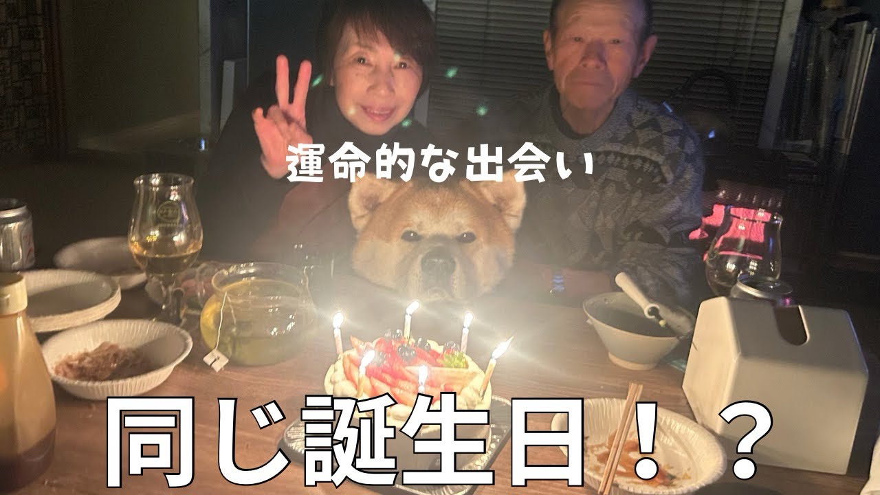 看板犬とお母さんが同じ誕生日だった。