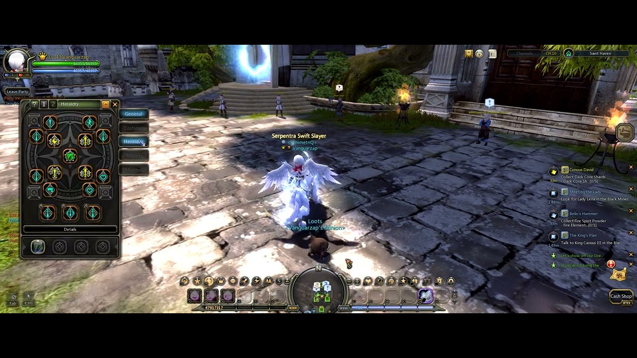 [Dragon Nest Classic] Budget Set+Accessories MT/Semi-DPS Paladin Build
