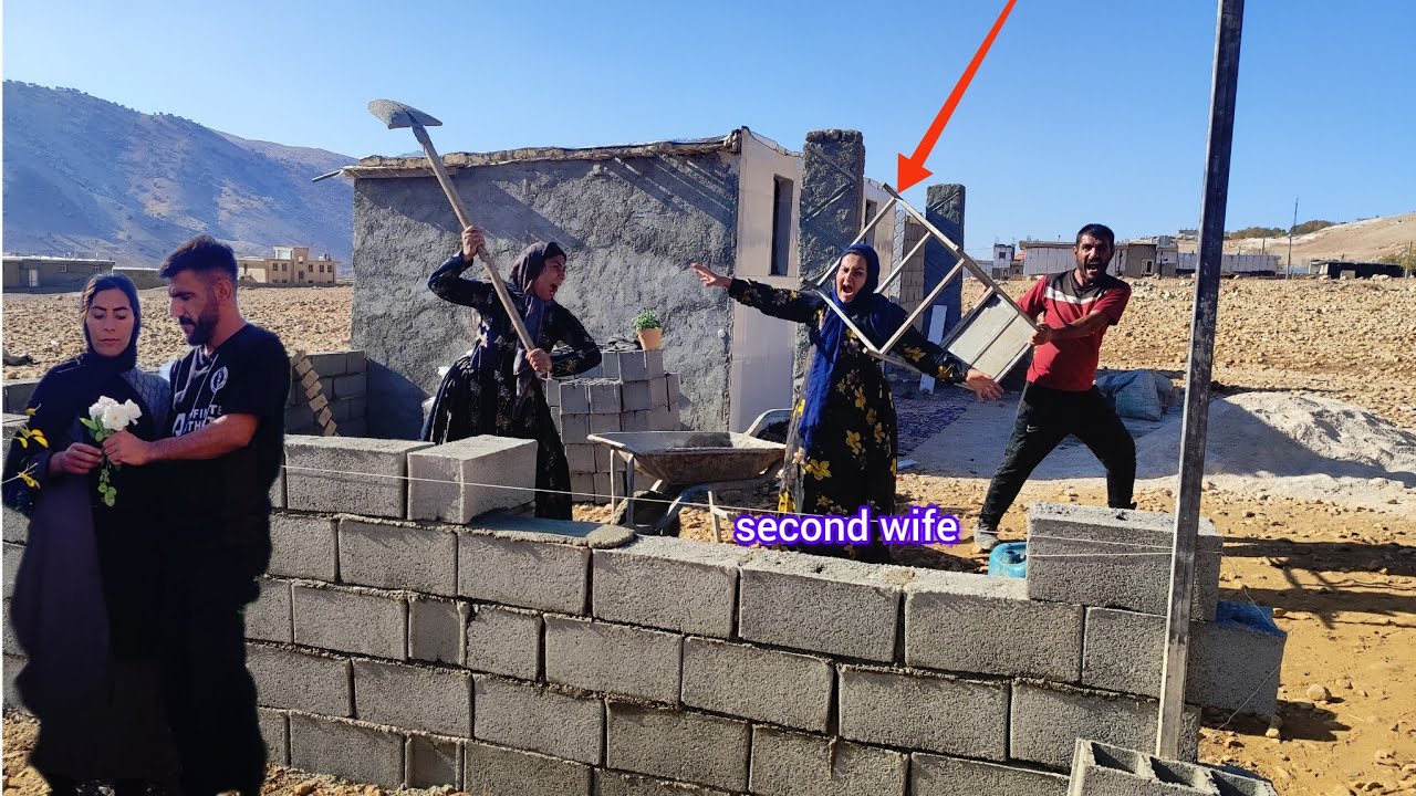 25 ноября 2025 г.