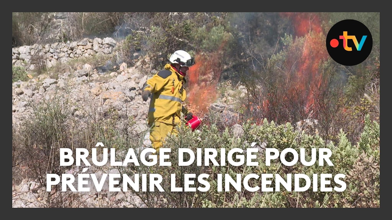 Pour prévenir les incendies de forêt, les pompiers des Alpes-Maritimes... mettent le feu