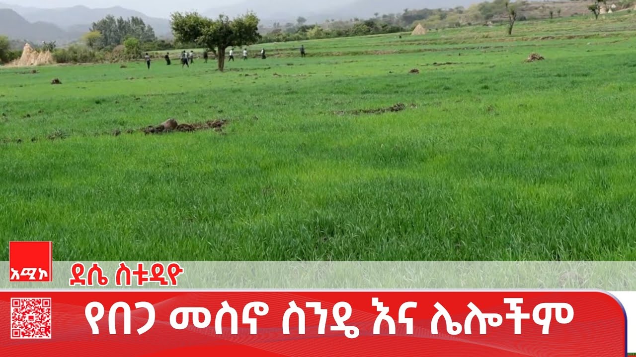 ደሴ ስቱዲዮ ዜና:  ጥር 27/2018 ዓ.ም #ዜና #አሚኮ