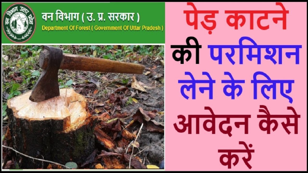 How to apply for taking tree cutting permit | पेड़ काटने की परमिशन लेने के लिए आवेदन कैसे करें