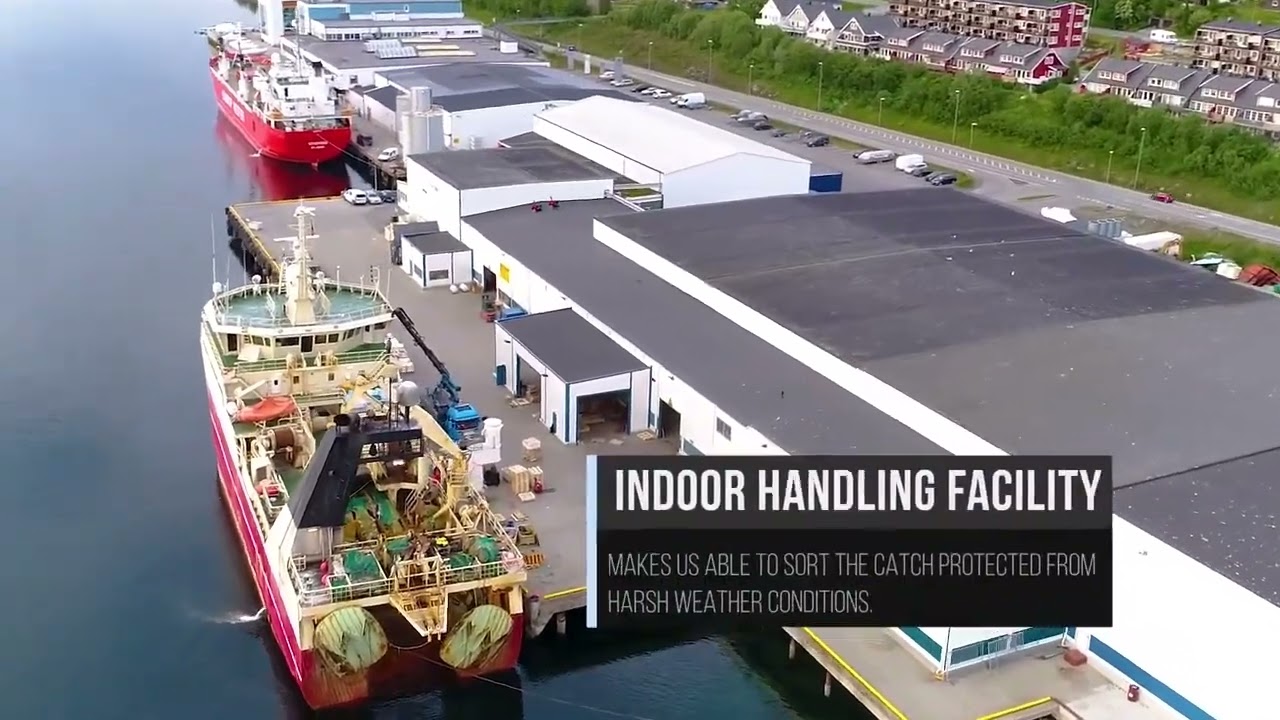 Troms Frysetermnal  - The Biggest fish warehouse in Norway