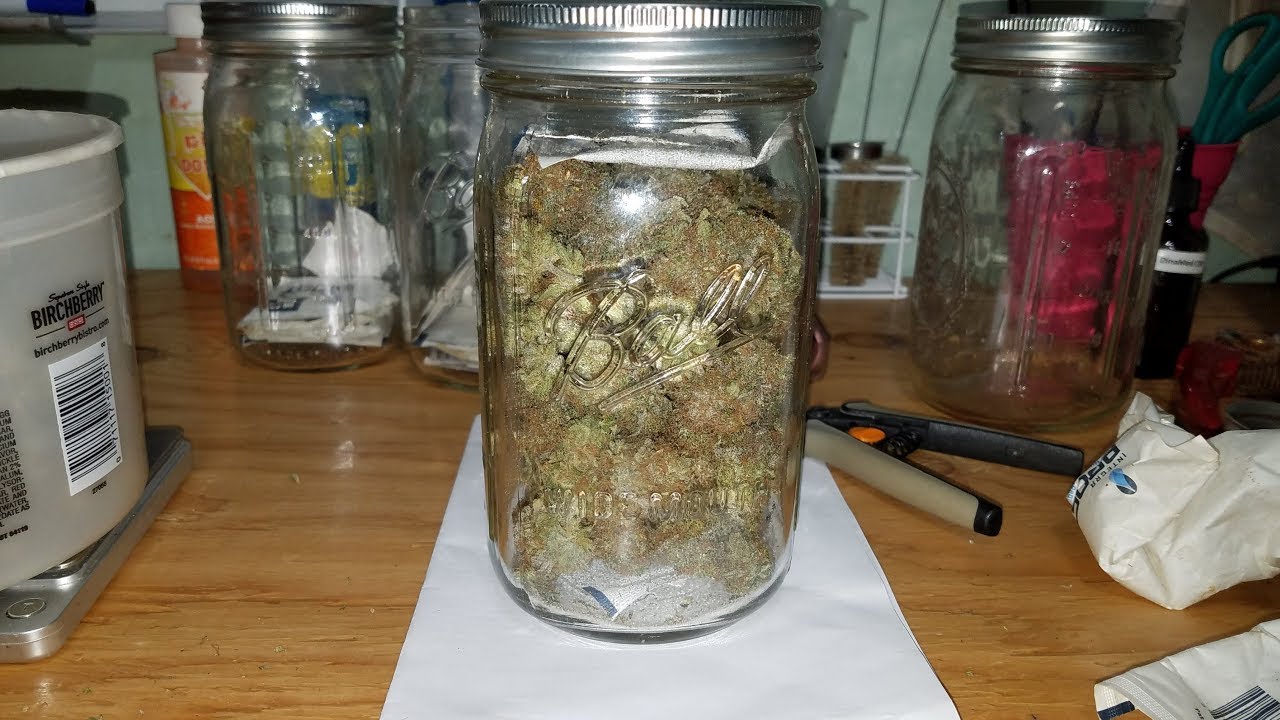 Выращивание органической конопли с помощью системы AutoPot XL - Jar Up & Summation