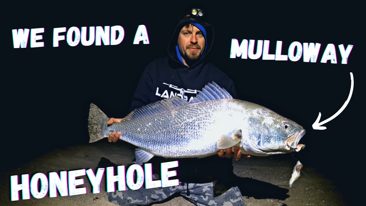 Mulloway Mahem At Midnight | Psycho Silver Slab Session