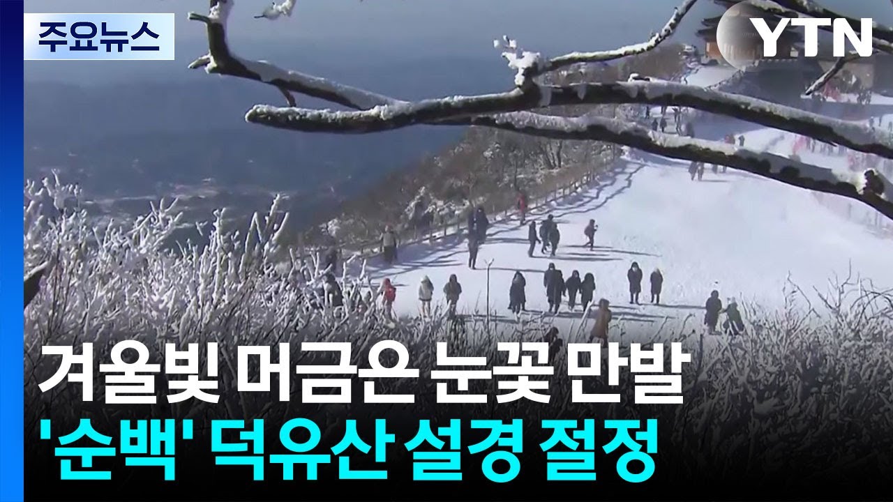 새하얀 겨울빛 내려앉은 무주 덕유산...설경 ’절정’ / YTN
