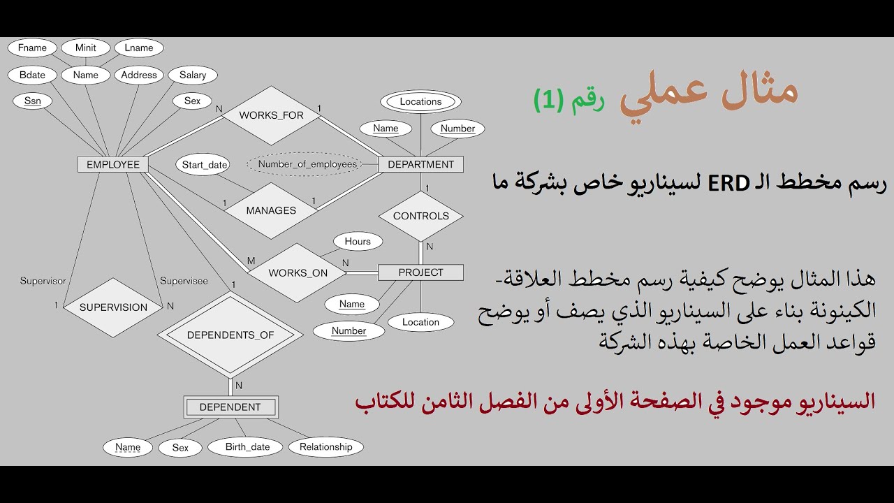 15 رسم مخطط العلاقة الكينونة لسيناريو شركة ERD Diagram