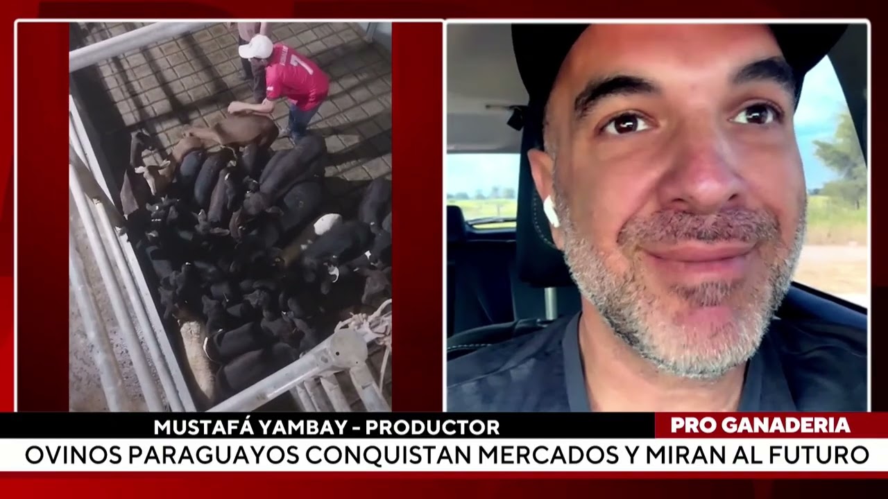 Ovinos paraguayos conquistan mercados y miran al futuro