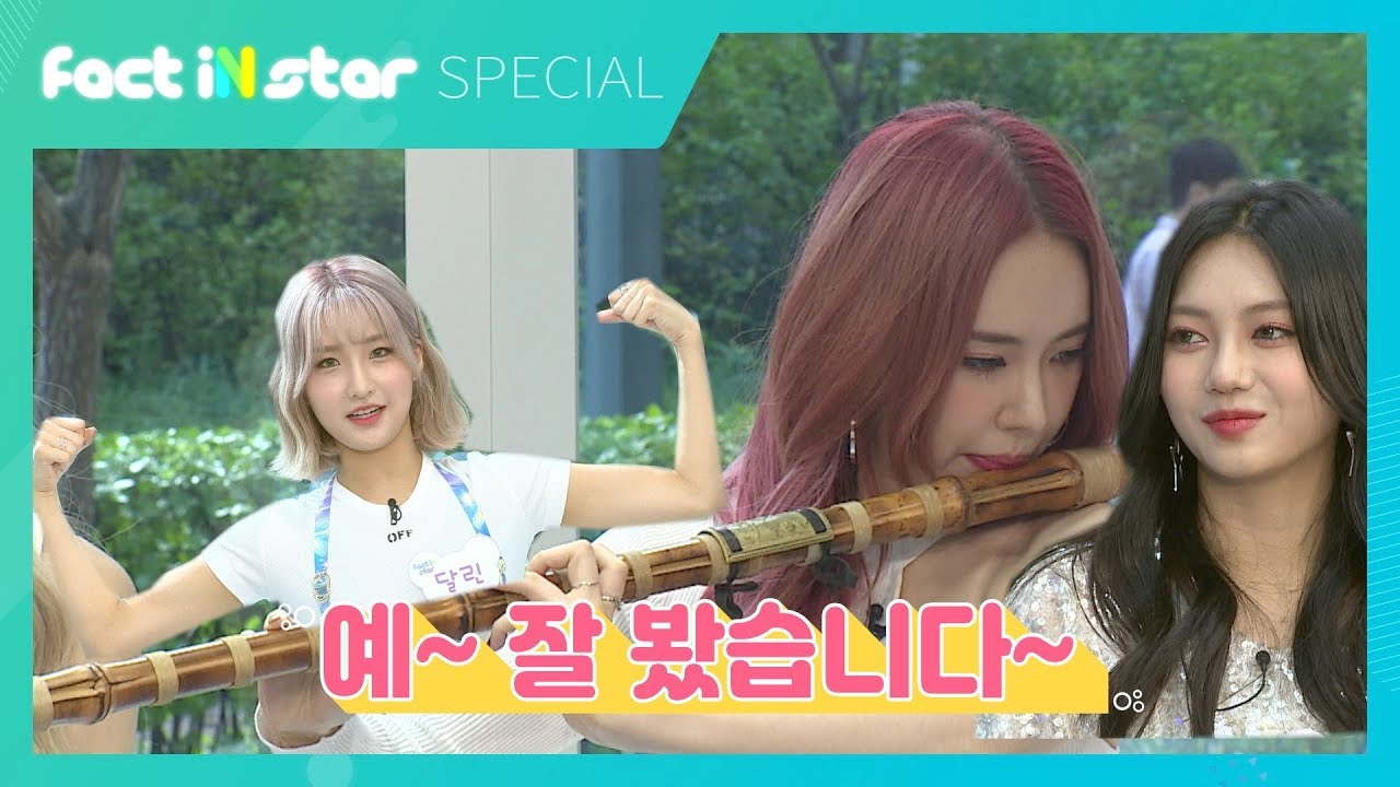 대금 여신과 근육 고양이의 만남 어딘가 희한한 [ANS 리나 로연 달린 ] - 팩트iN스타