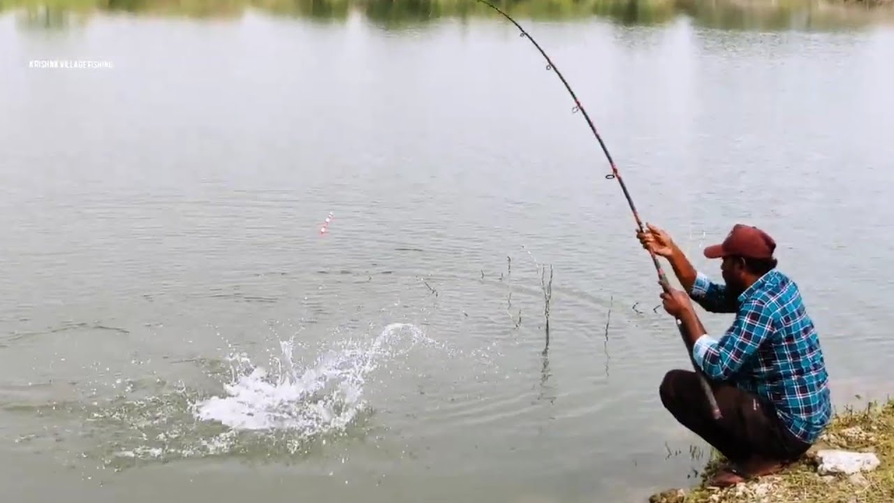 unique Float 🎣 Fishing in Black Rohu and Big Tilapia Fishes to Catching