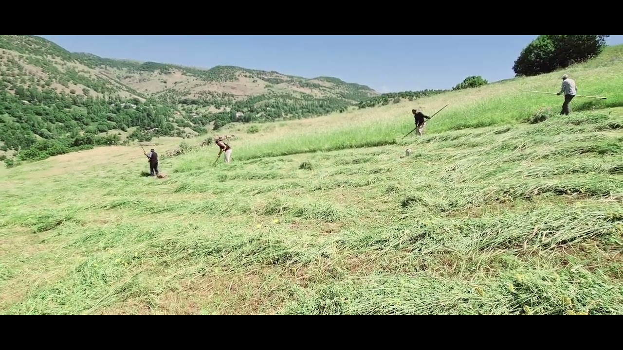tırpancılar