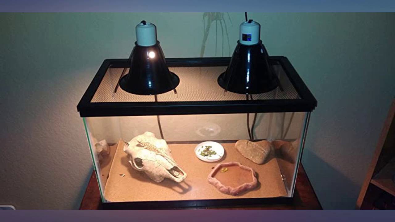 Zilla Reptile Starter Kit 10 with Light and Heat review