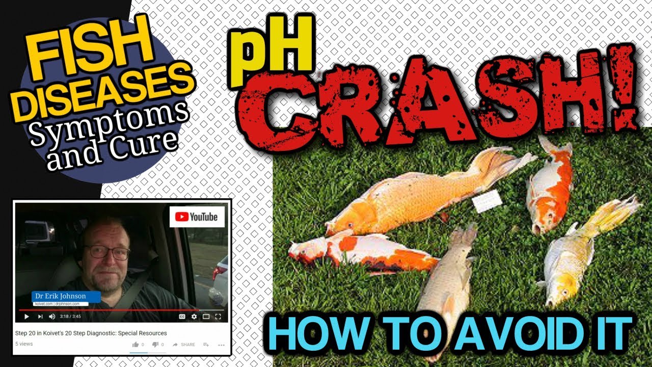 pH and 