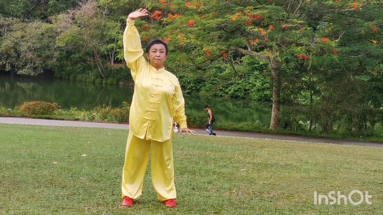 ALICE HO.Health Qigong Ba Duan Jin健身气功八段锦