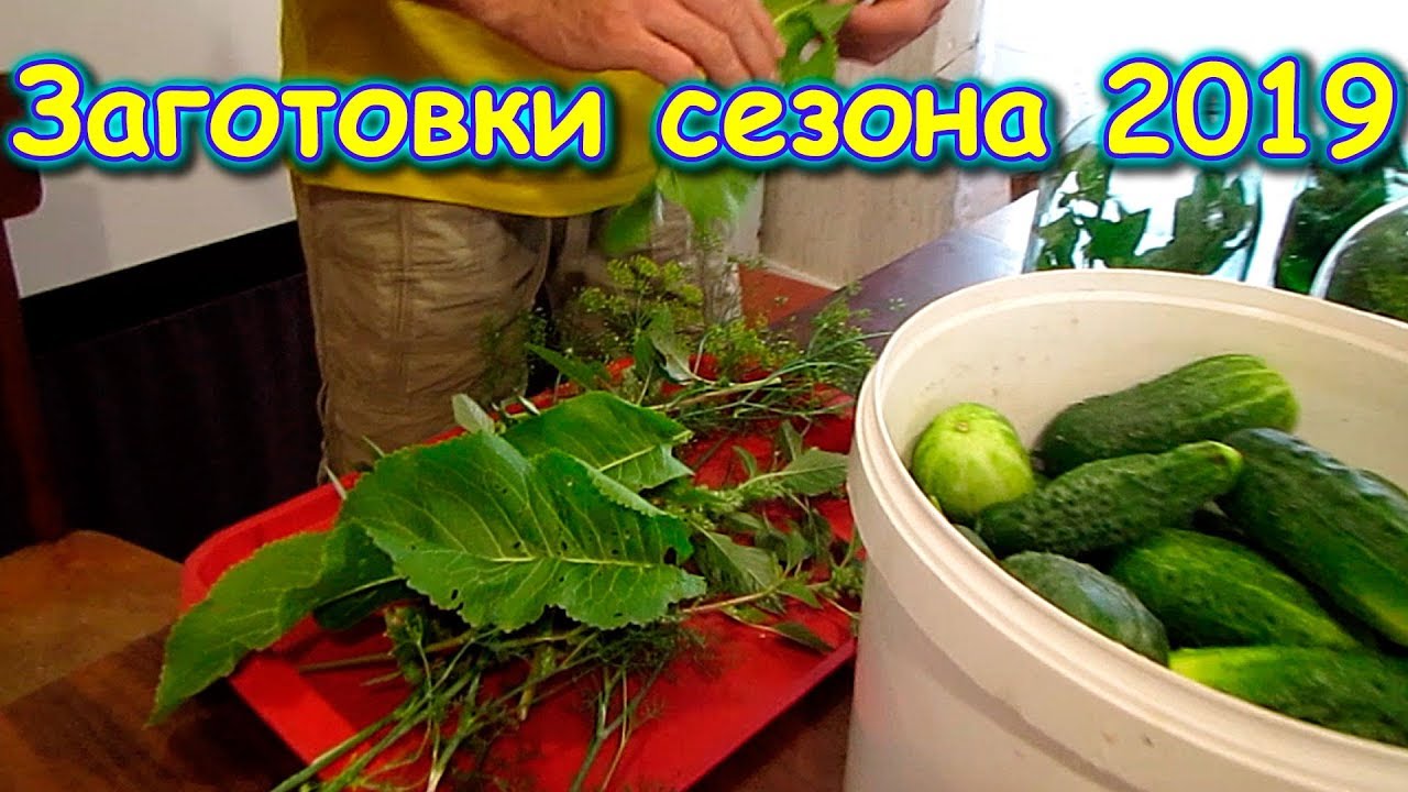 Что заготавливаем в этот сезон 2019г. - сушим, солим, маринуем. (08-09.19г.) Семья Бровченко.