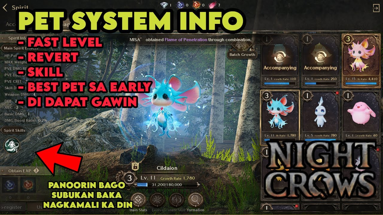 NIGHT CROWS - PET SYSTEM INFO NA NEED MALAMAN NA AGAD