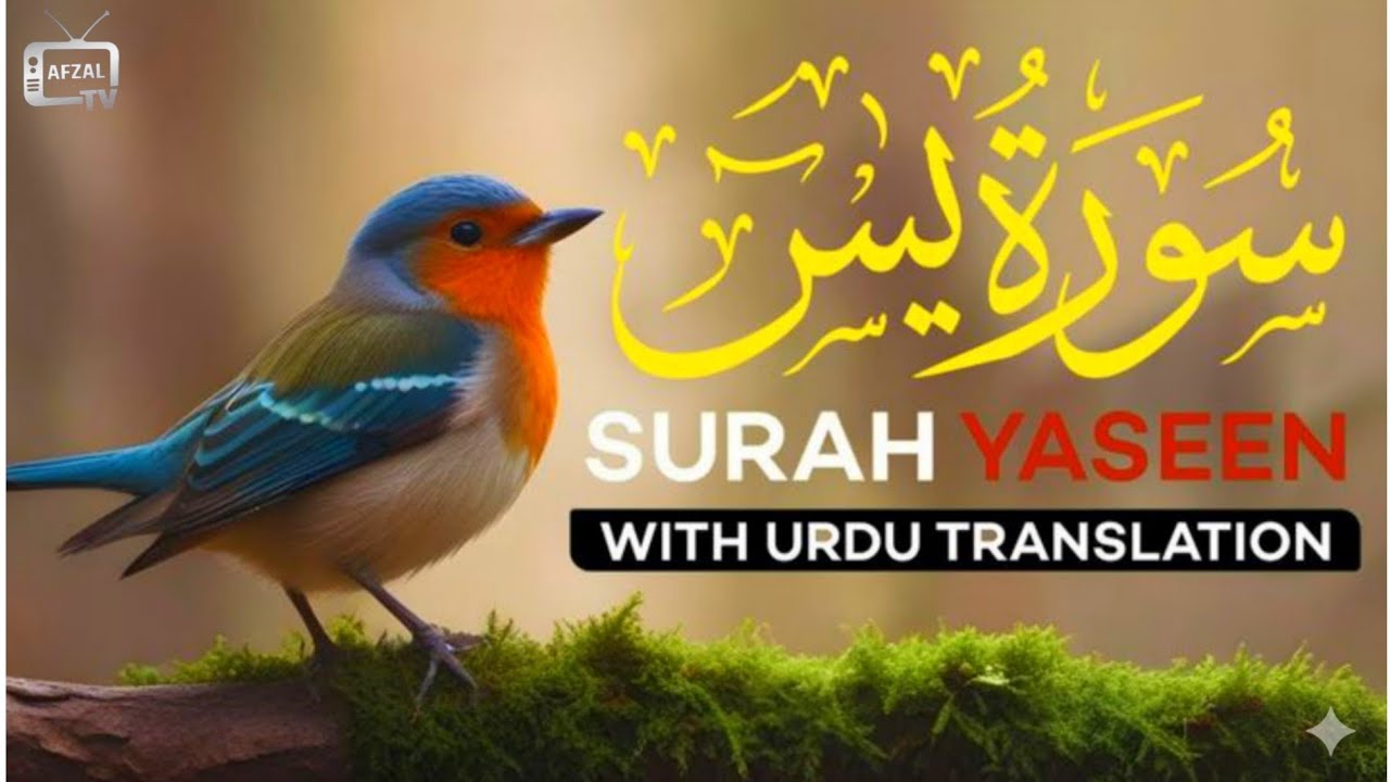 Surah Yaseen | Fazilat, Barkat aur Shifa | Surah Yaseen Ki Tilawat & Benefits