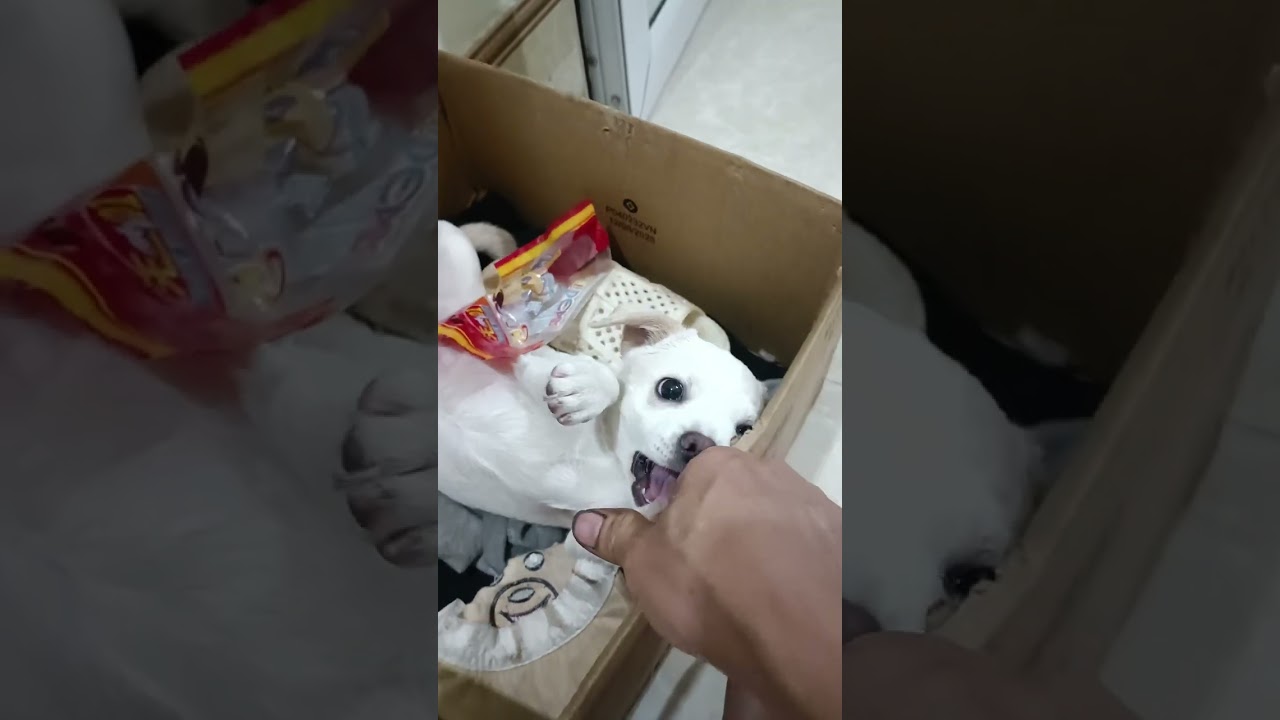 Lu con nghịch ngợm 