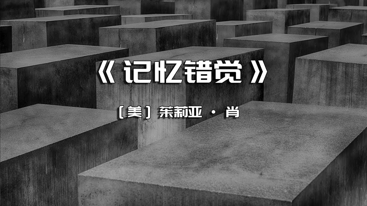 《记忆错觉》记忆如何影响了我们的感知、思维与心理